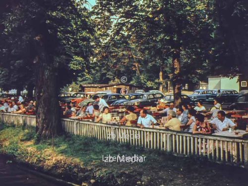 Am Wannsee in Berlin 1961