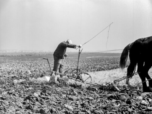 Pferdegespann mit Pflug in Deutschland 1937