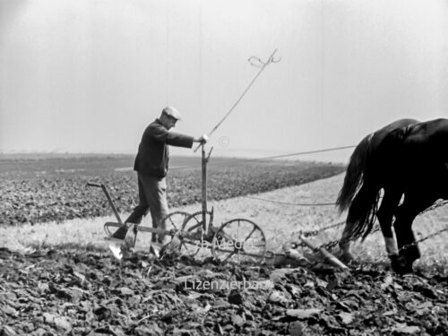 Pferdegespann mit Pflug in Deutschland 1937