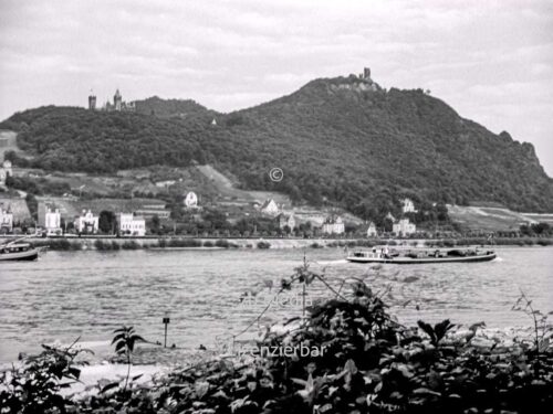 Der Rhein bei Königswinter 29137