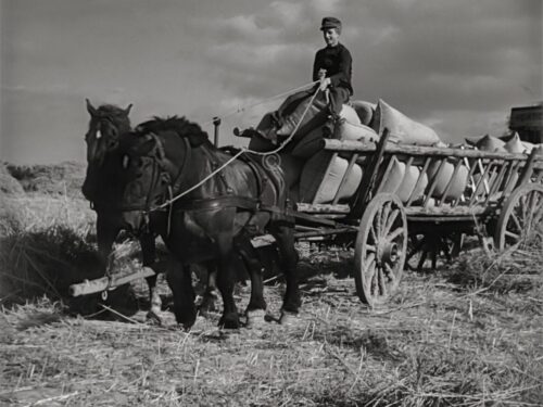 Pferdefuhrwerk 1945